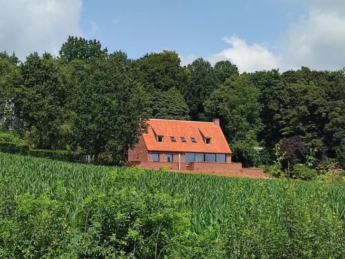 Příroda nedaleko prázdninového domu