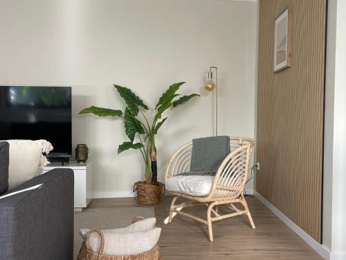 a living room with a chair and a plant at Brooklyn&Fennel House in Funchal