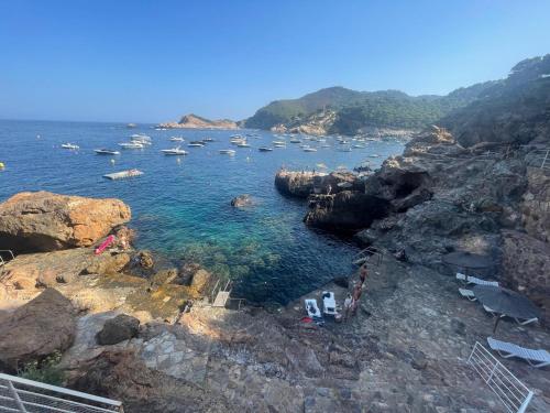 a group of boats in the water on a rocky shore at El 66 de Cap Sa Sal in Begur