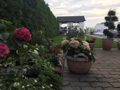 Retro Home Balatonvilágos 8600 Siófok, Baross Gábor utca 188 kép - 3