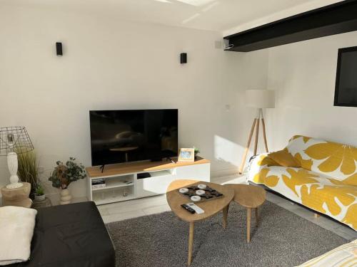 TV/trung tâm giải trí tại La Gruissanaise