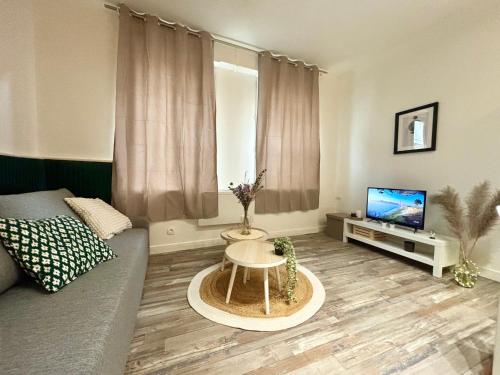 Μια τηλεόραση ή/και κέντρο ψυχαγωγίας στο Appartement calme et cosy - Proche centre