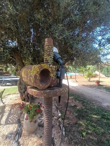 Κήπος έξω από το Entre Viejos Olivos