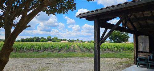 a farm with a field of corn and a pavilion at Chambres d'hôte & Gîte Château Le Conte - Saint Emilion in Saint-Émilion