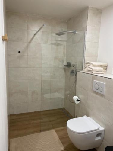 a bathroom with a glass shower with a toilet at Statek u Kapličky - pokoje in Příbram