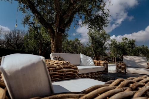 two chairs and a couch on a patio with a tree at Masseria Monache in San Pietro Vernotico
