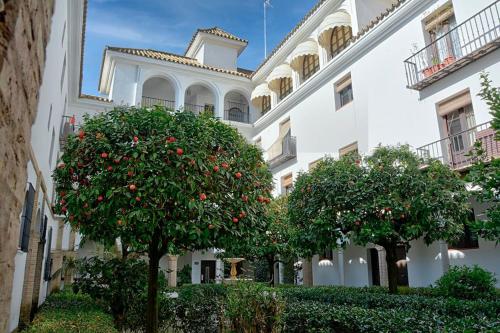 Alfaro Historic Aparment