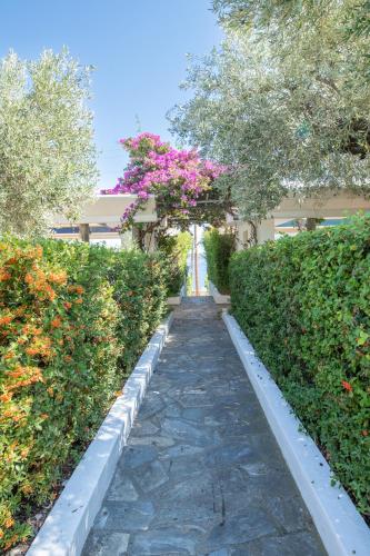 Gallery image of Elea Villas Steni Vala Alonissos in Steni Vala Alonissos