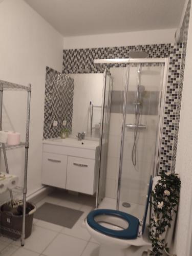 une salle de bain avec une douche, des toilettes et un lavabo dans l'établissement SMV Studio, à Saint-Martin-du-Var