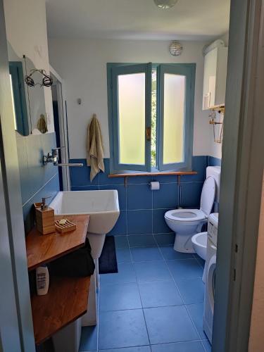 a blue bathroom with a sink and a toilet at Casa Celestina in Cicogna