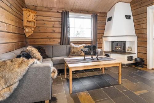 a living room with a couch and a fireplace at Trysilfjellet Nord 356 A and B in Trysil