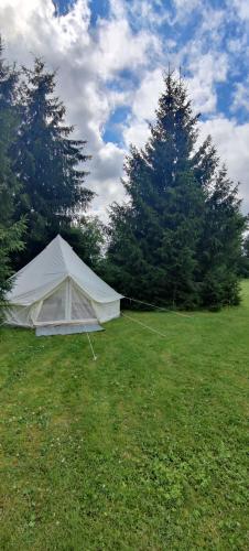 a white tent in a field with trees at Päikesekivi Keskus in Ridaküla
