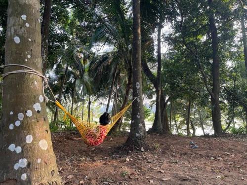 a person sitting in a hammock in a forest at Neermathalam, a traditional kerala tharavadu in Palakkad