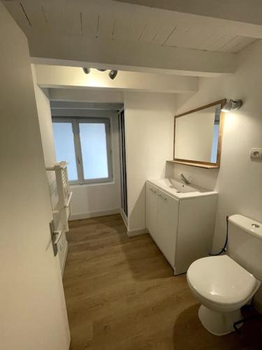une salle de bain avec toilettes, lavabo et miroir dans l'établissement Appartement 60m2 - 2 ou 4 pers, à Biziat