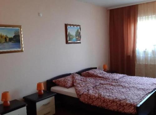 Ένα ή περισσότερα κρεβάτια σε δωμάτιο στο Apartment Čeliković
