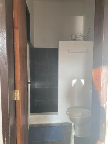 a bathroom with a toilet and a shower at Pousada Recanto dos Leporage Itacuruçá in Mangaratiba
