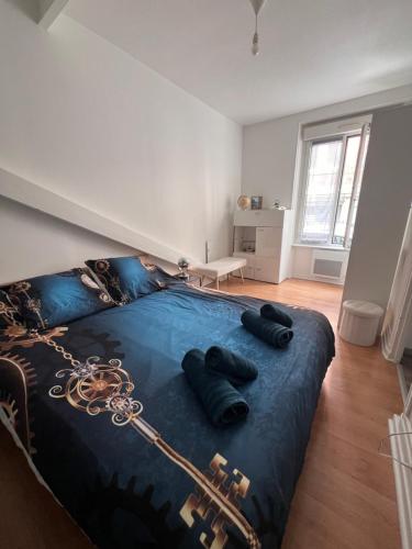 a bedroom with a bed with a chain on it at Le Noé : hyper centre d’Epernay in Épernay