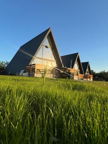 a house with a black roof in a field of grass at Mareva House A Frame Chalet in Râmnicu Vâlcea