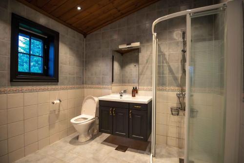 a bathroom with a toilet and a sink and a shower at Trysilfjellet Nord 170 in Trysil