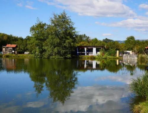 - une vue sur un lac avec des maisons et des arbres dans l'établissement Cabane insolite, à Saint-Victor-de-Morestel