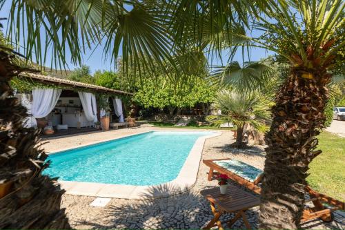 a pool with a palm tree next to a house at Villa Niloan Olbia in Olbia