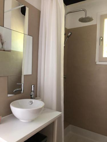 un bagno con un lavandino bianco e una doccia di Chambre avec salle de bain privative a Nîmes