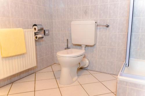 a bathroom with a toilet and a shower at Hotel Unter den Linden in Rüdesheim am Rhein