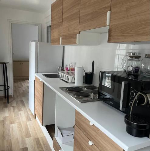 a kitchen with a counter top with a microwave at Le Hameau Arribas in Condé-Sainte-Libiaire