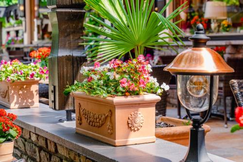 a group of potted plants on a table with a lamp at Hotel Unter den Linden in Rüdesheim am Rhein