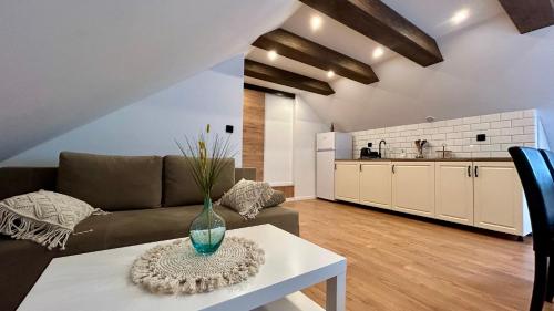 Kuchyňa alebo kuchynka v ubytovaní Apartamenty GOSZOWIANKA