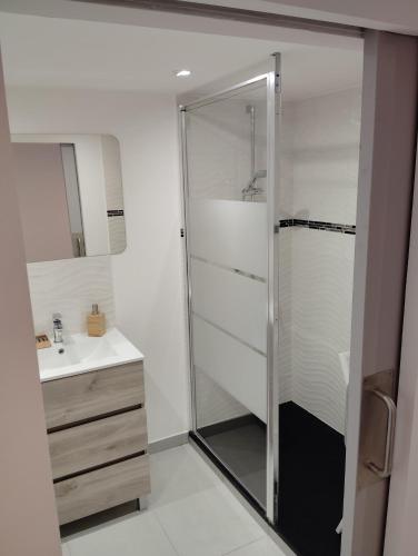 une salle de bain avec douche et lavabo dans l'établissement Maison chez Marthe, au Muy