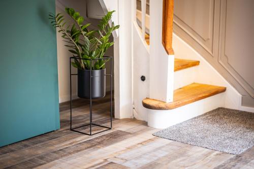 a plant in a black pot sitting next to a staircase at Sonnenhäusle - Natur. Fernblick. Panorama-Sauna. in Sasbachwalden