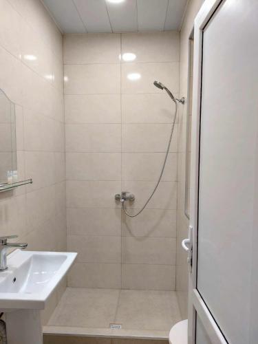 un baño con ducha y lavabo en Dodo-Inga's Apartment, en Tiflis