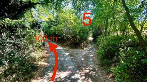 a dirt path with an orange arrow pointing to a forest at Csobánc Szerelem-Nemzeti Park-Önalló Ház - klimatizált in Gyulakeszi