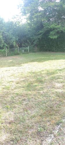 a field of grass with a giraffe in it at maison grand parking privé in Tournon-Saint-Martin