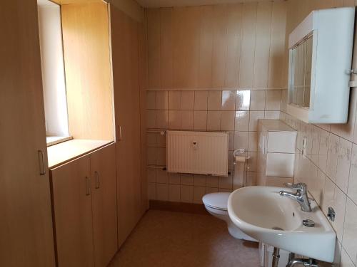a bathroom with a sink and a toilet at Monteurswohnung am Obstgarten in Klingenberg