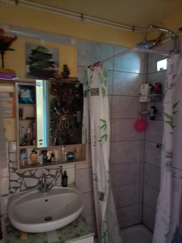a bathroom with a sink and a shower at COLOCATION CITE URBAINE in Pointe-à-Pitre