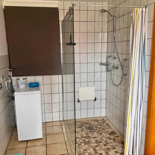 a shower with a glass door in a bathroom at Ferienwohnung Bohlen in Wehden