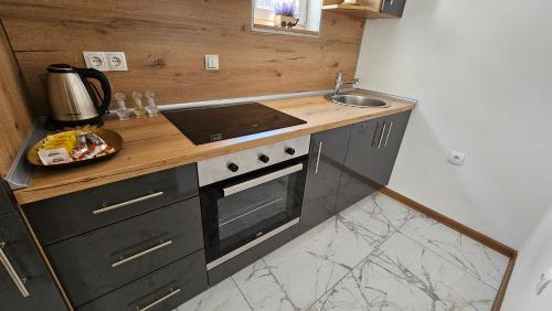 a small kitchen with a stove and a sink at Vila Mir in Banja Vrućica