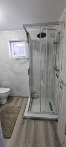 Koupelna v ubytování Căsuța intimă