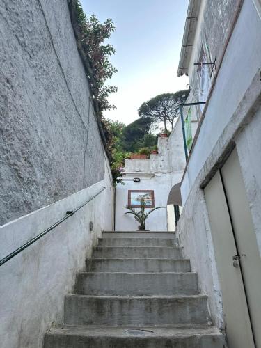 a stairway leading up to a building with a tree at Casa delle Luci - garage incluso in Maiori