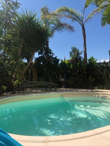 une piscine avec des palmiers en arrière-plan dans l'établissement STUDETTE Beausejour, à Cannes