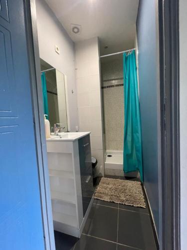 une salle de bain avec un lavabo et une douche dans l'établissement Appartement traversant avec balcon et belle vue sur jardin, proche des commodités et à moins de 30 minutes de Paris en transport, à Chennevières-sur-Marne