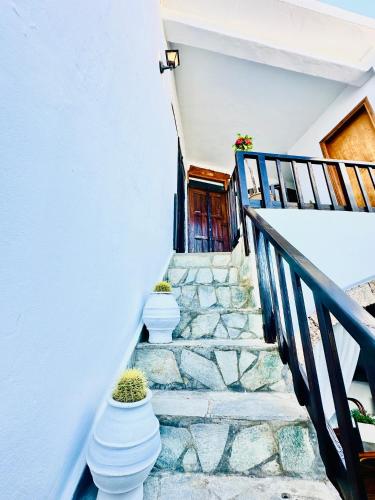 a set of stairs with potted plants on them at Artemis Traditional House in Kerames