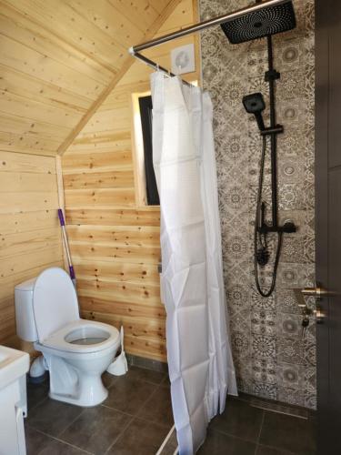 a bathroom with a toilet and a shower at Cottage Liantto in Borjomi