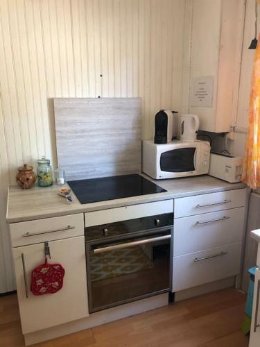 Il comprend une cuisine équipée d'un four micro-ondes et de plaques de cuisson. dans l'établissement Maison paisible cœur du Ventoux, à Puyméras