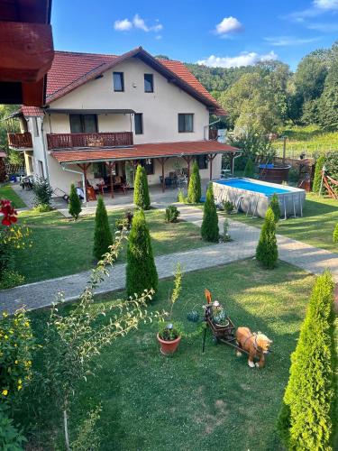 a house with a garden with a dog in the yard at Cabana Sweetlife in Rimetea