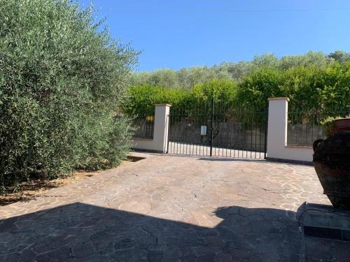 a driveway with a gate and a fence at Casa la Buriana in Vinci