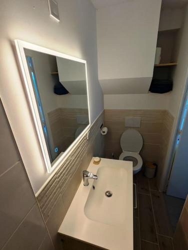 une salle de bain avec un lavabo et un miroir et des toilettes dans l'établissement Maisonnette centre-ville, à Caen