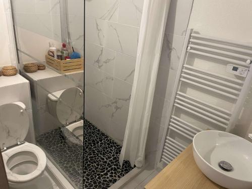 une salle de bain avec toilettes, lavabo et douche dans l'établissement Studio avec parking privé, au Grau-du-Roi